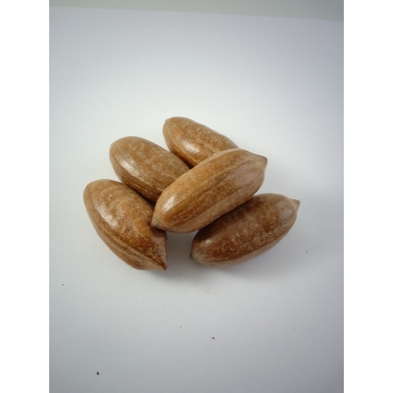 Nuez Pecana sin cáscara