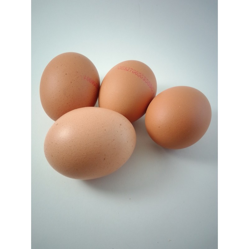 Huevos ecológicos M-L.