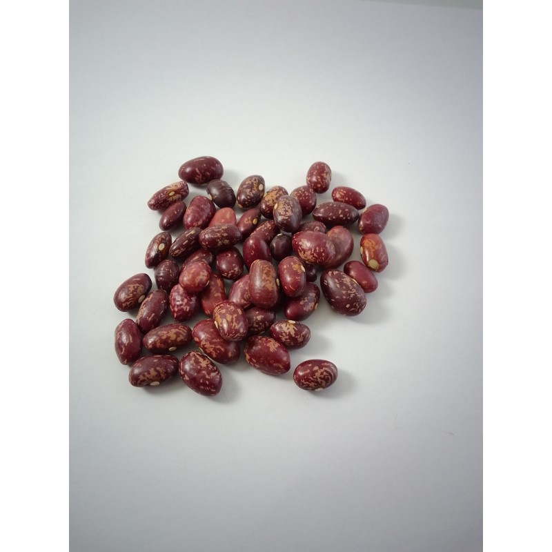 Alubia Palmeña Tolosana