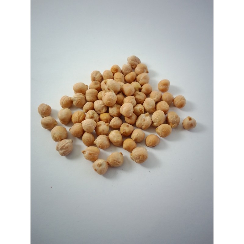 Garbanzo Pedrosillano Salamanca