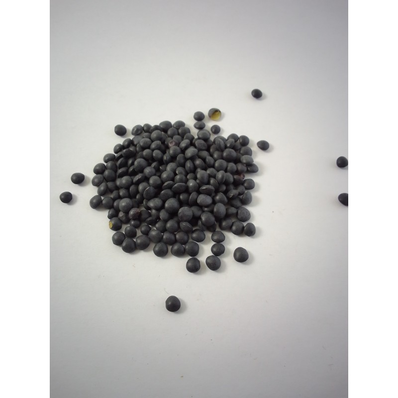 Lenteja Caviar o Beluga