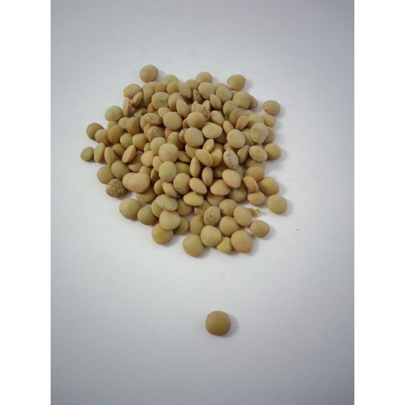 Lenteja Estón o Lanzarote