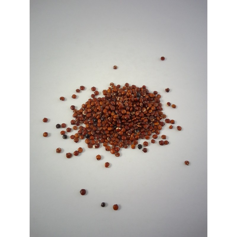 Quinoa roja
