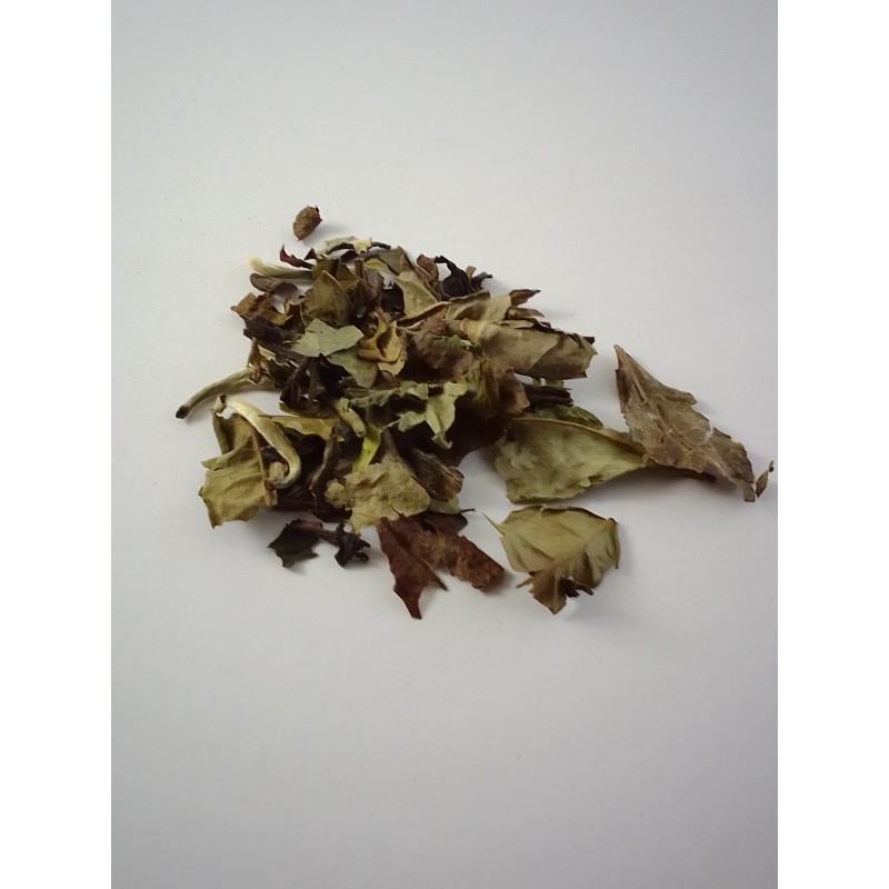 Té Blanco Pai Mu Tan ECO
