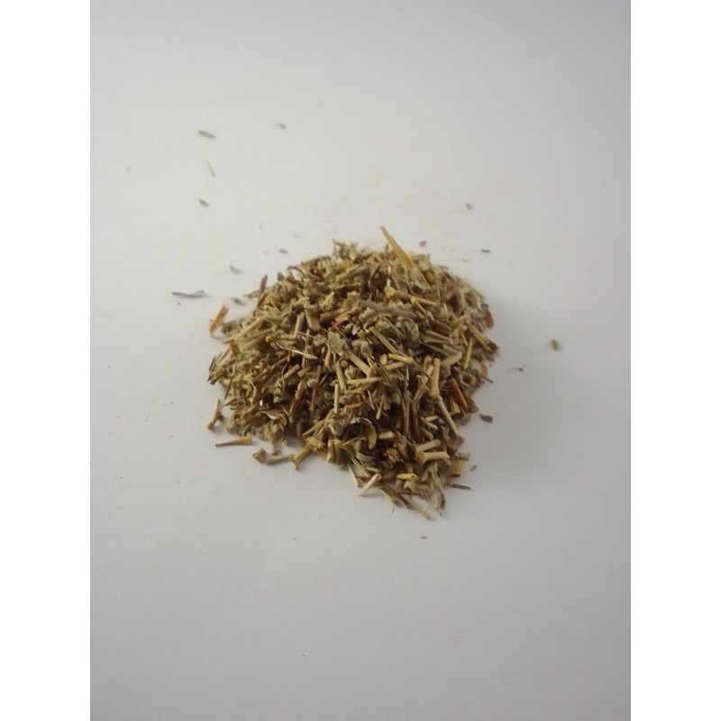 Herniaria planta cortada