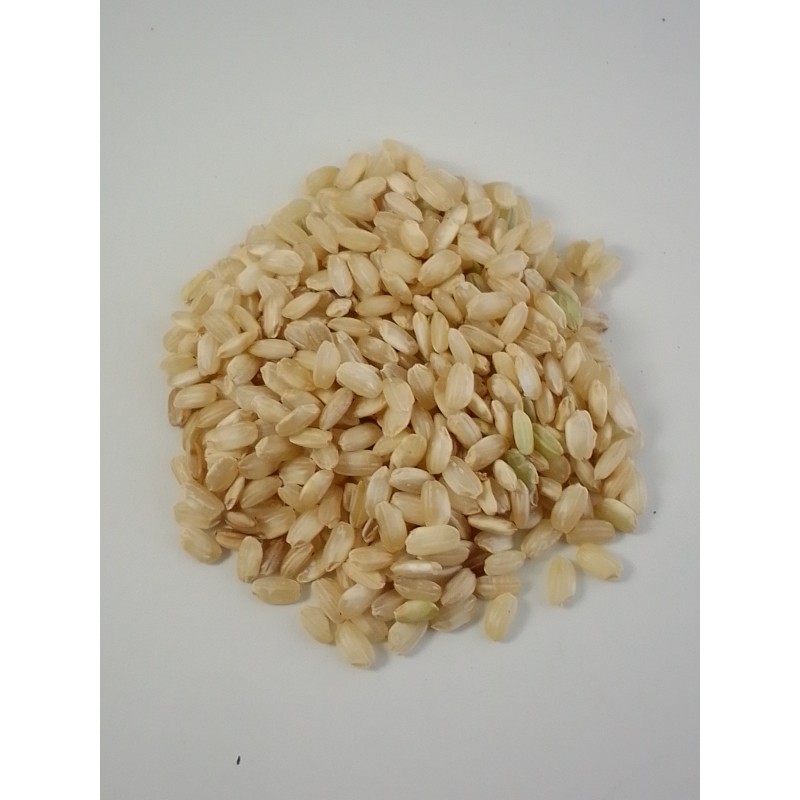 Arroz Redondo Integral