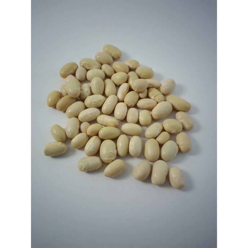 Alubia amarilla canaria