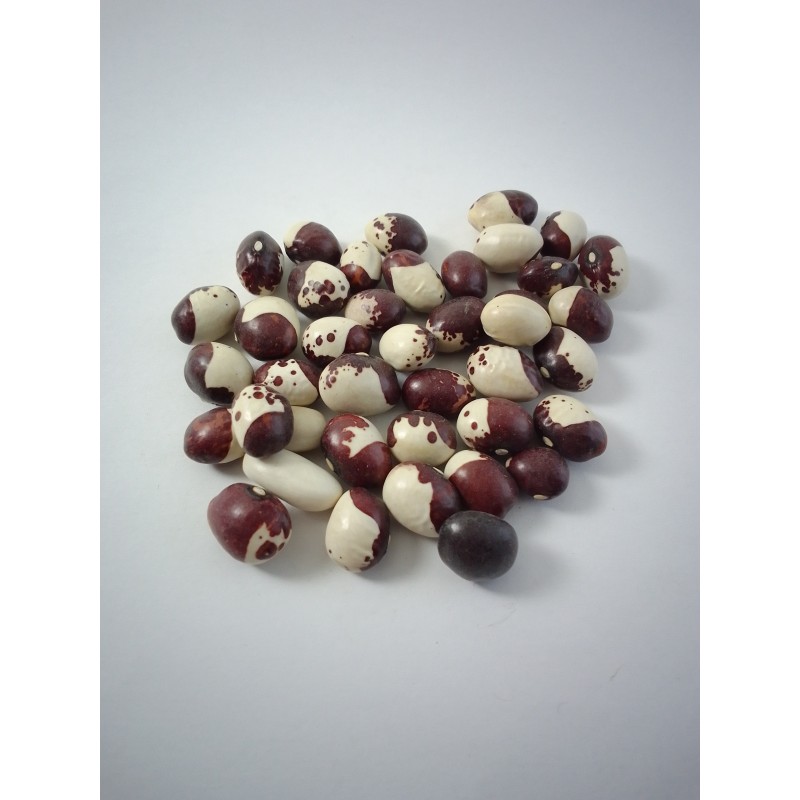 Alubia Caparrón redondo (mandilín)