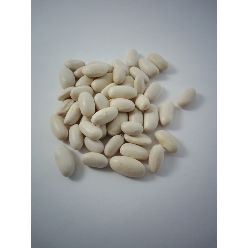 Alubia riñón especial