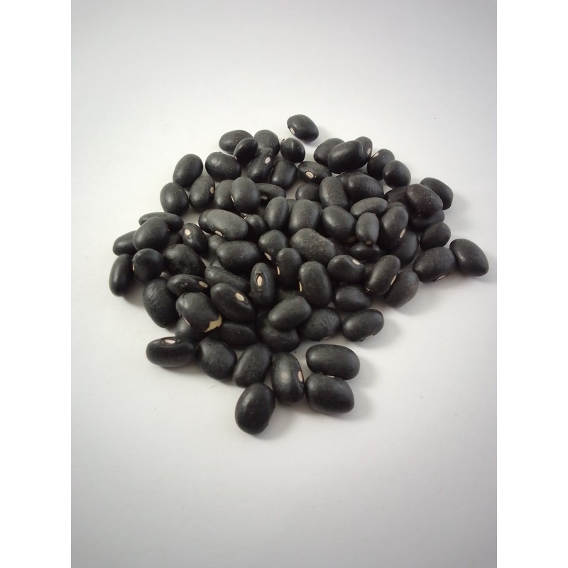 Alubia Negrita o Frijol negro