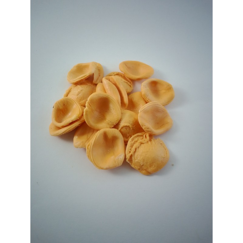 Orecchiette Calabaza ECO