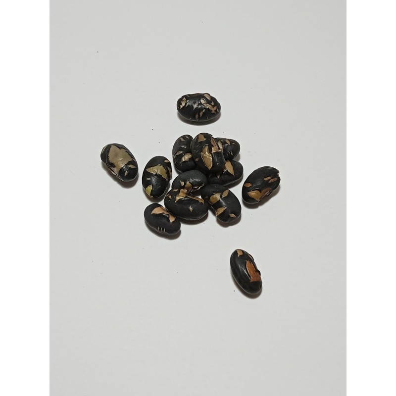 Edamame negro tostado con sal